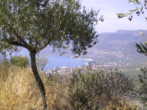 110 Uitzicht op Kardamyli.jpg 76.8K